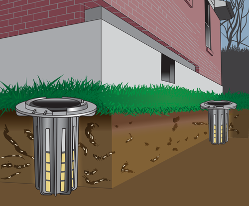 Termite Bait Station Image