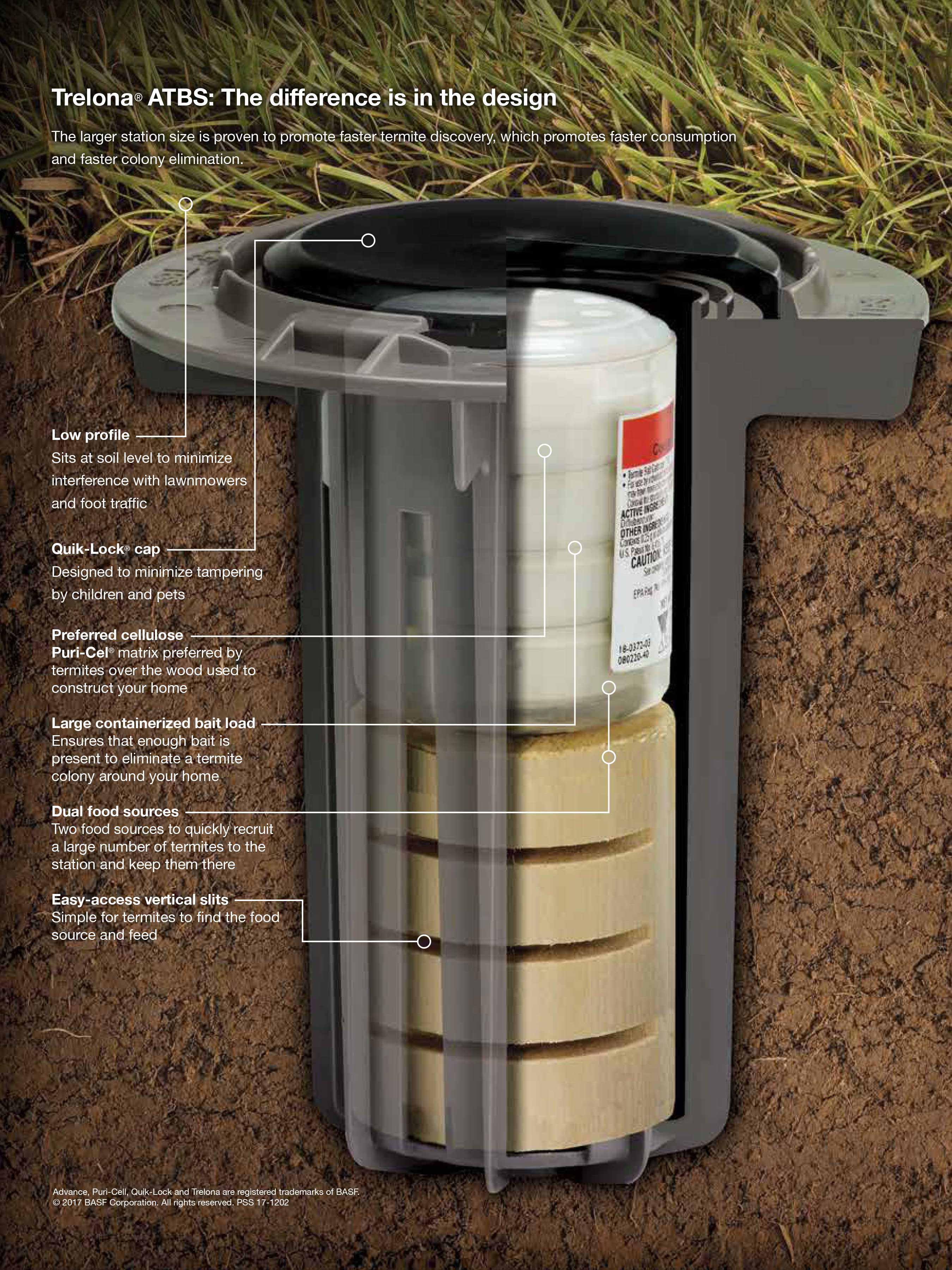 Termite Control Treatments And Best Practices